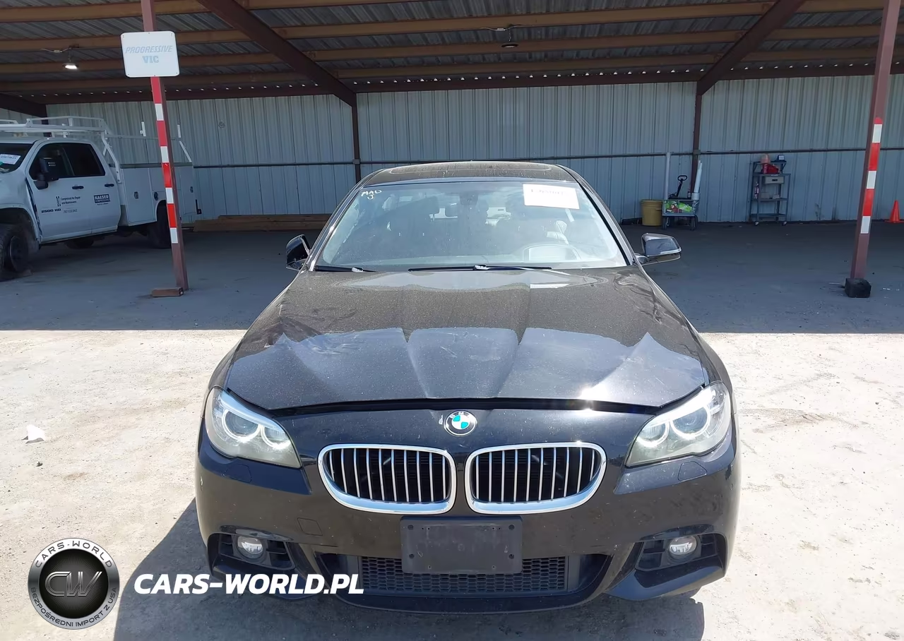 2016 BMW 528I xDrive VIN:WBA5A7C59GG144907 - 12