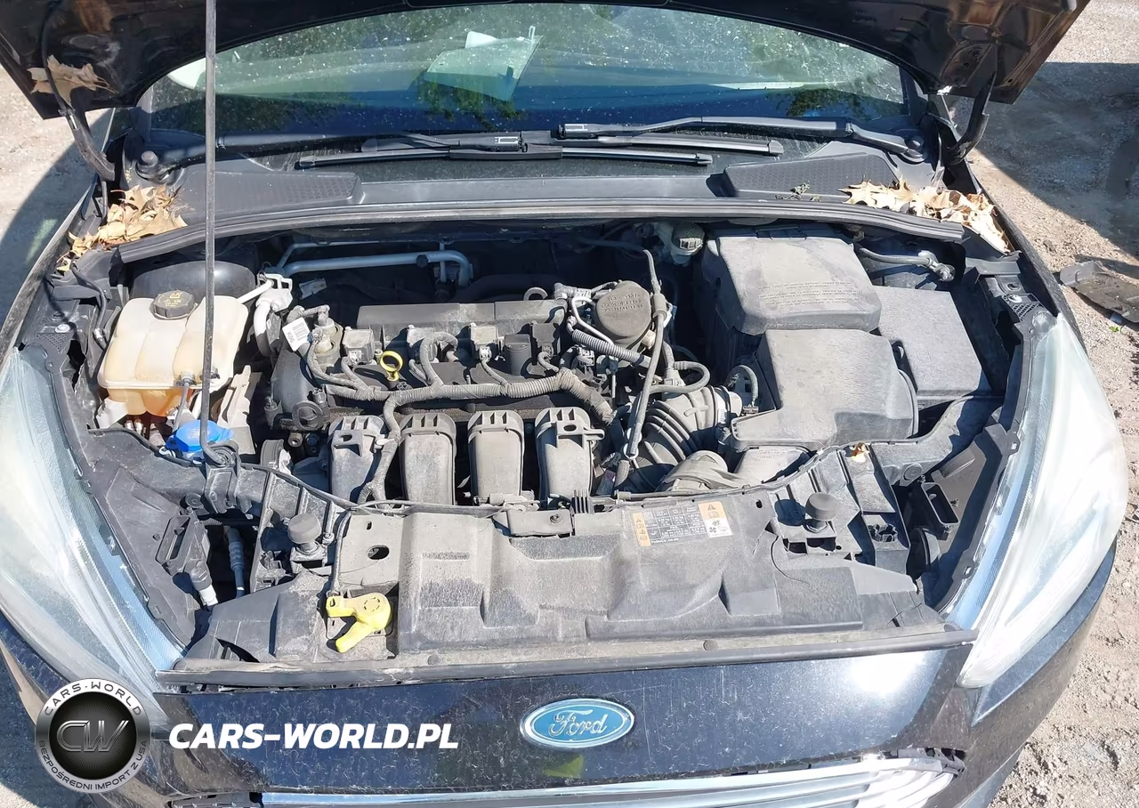 2015 Ford Focus Titanium VIN:1FADP3N20FL268391 - 10