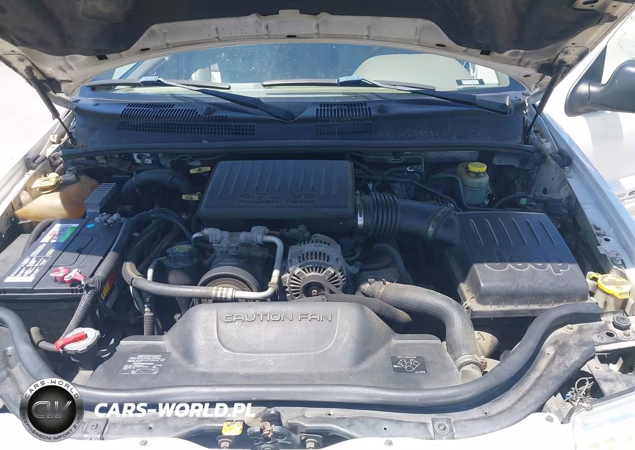 2002 Jeep Grand Cherokee Limited VIN:1J4GW58N12C124123 - 10