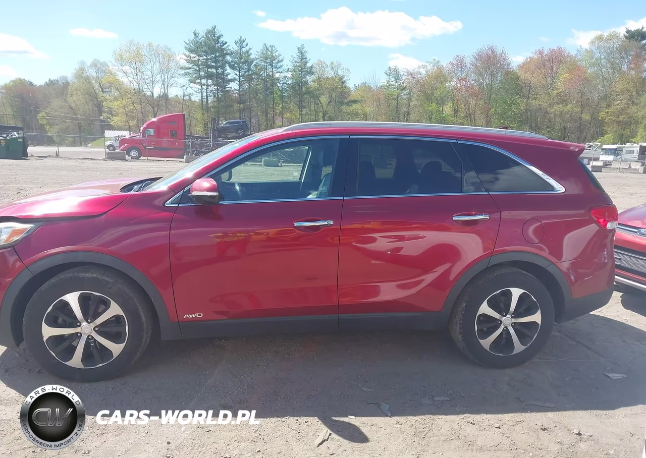 2016 Kia Sorento 2.0T Ex VIN:5XYPHDA10GG011154 - 14