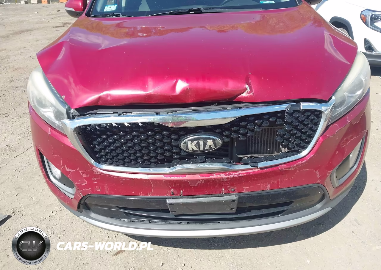 2016 Kia Sorento 2.0T Ex VIN:5XYPHDA10GG011154 - 6