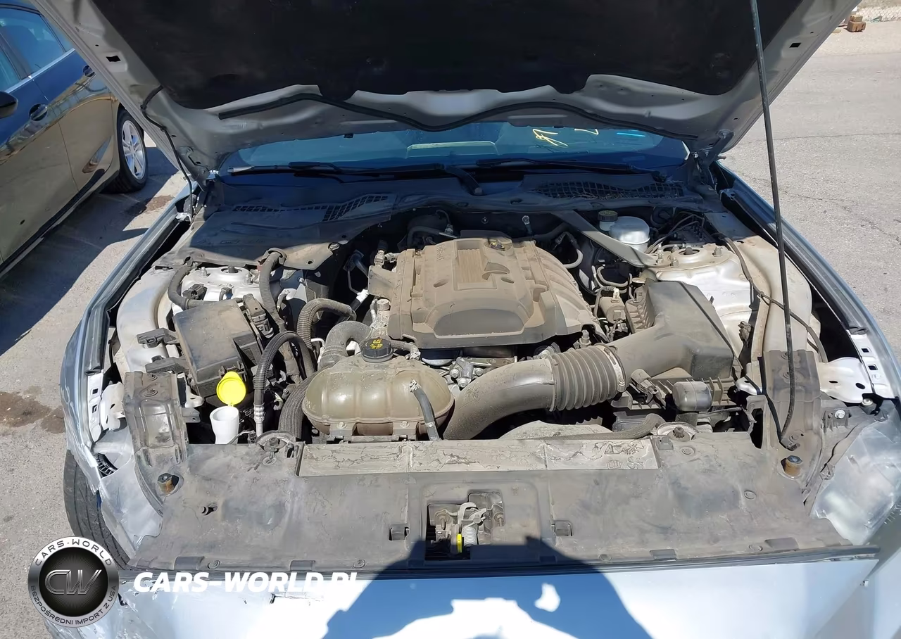 2019 Ford Mustang Ecoboost Premium VIN:1FATP8UH5K5161673 - 10