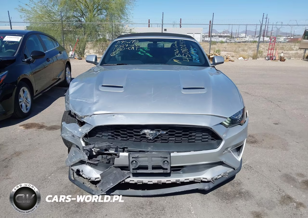 2019 Ford Mustang Ecoboost Premium VIN:1FATP8UH5K5161673 - 12