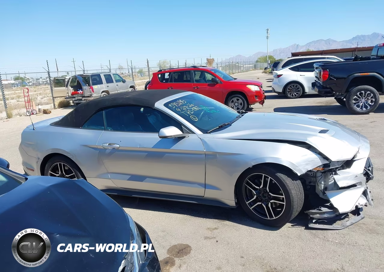 2019 Ford Mustang Ecoboost Premium VIN:1FATP8UH5K5161673 - 13