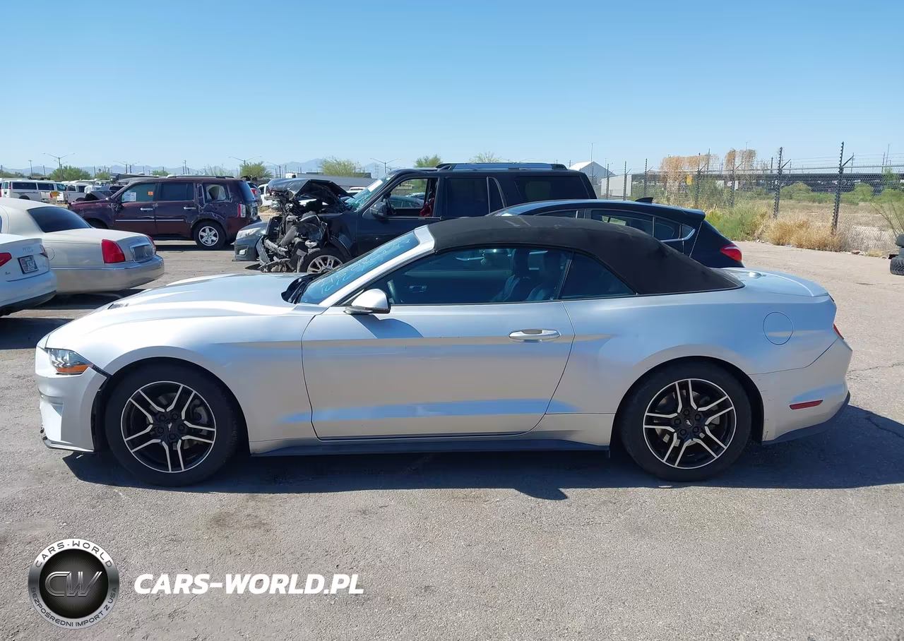 2019 Ford Mustang Ecoboost Premium VIN:1FATP8UH5K5161673 - 14