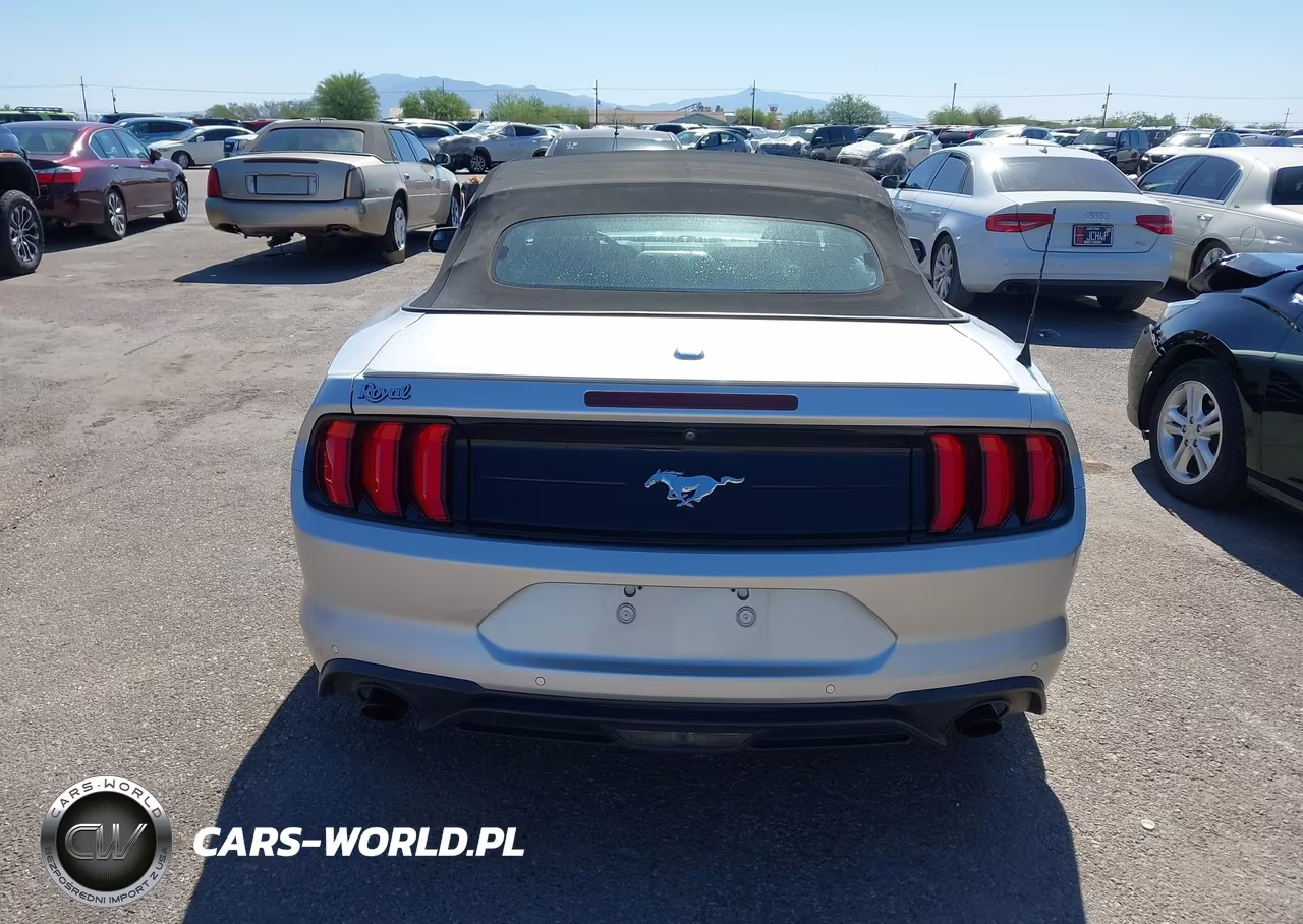 2019 Ford Mustang Ecoboost Premium VIN:1FATP8UH5K5161673 - 16