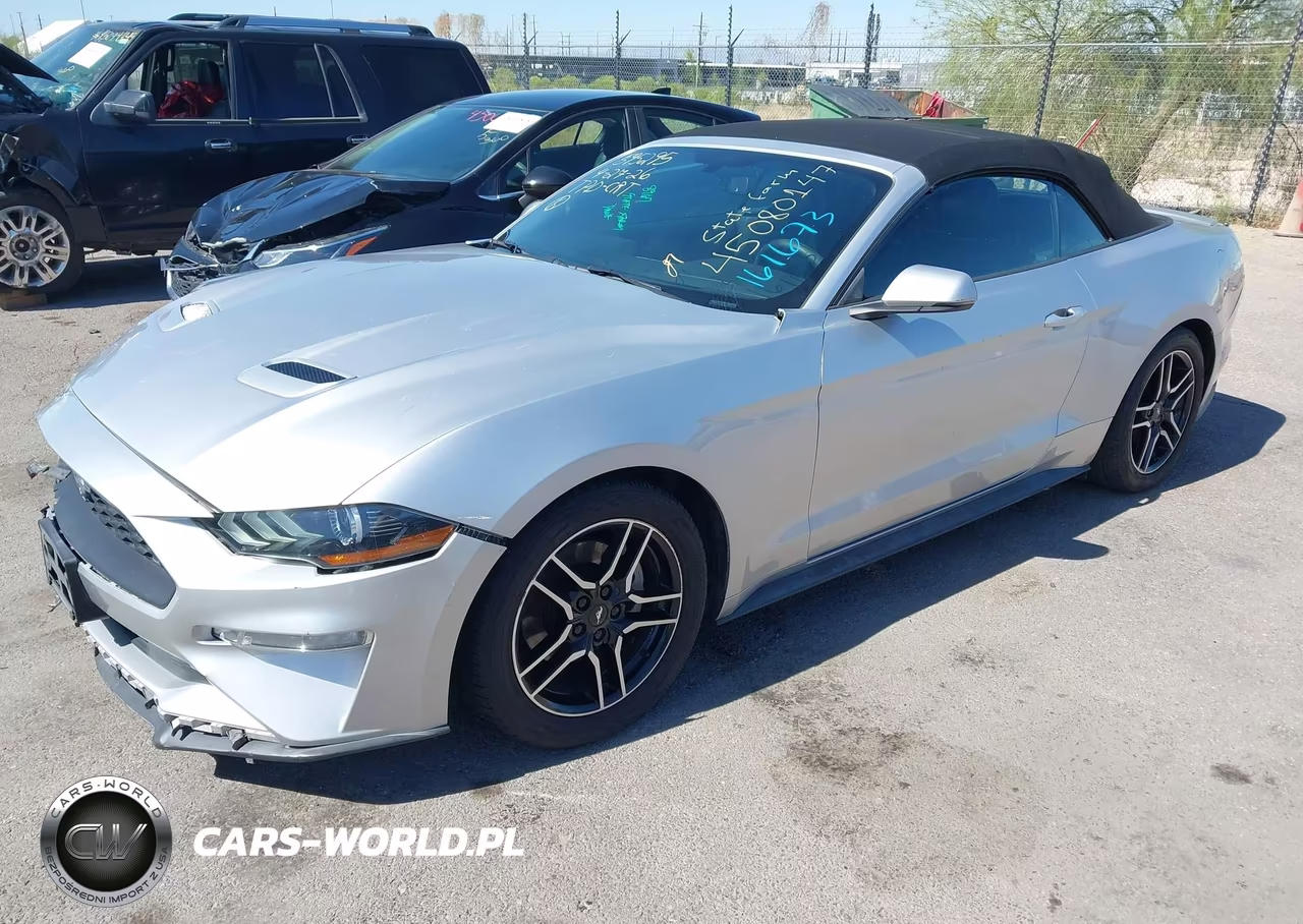 2019 Ford Mustang Ecoboost Premium VIN:1FATP8UH5K5161673 - 2