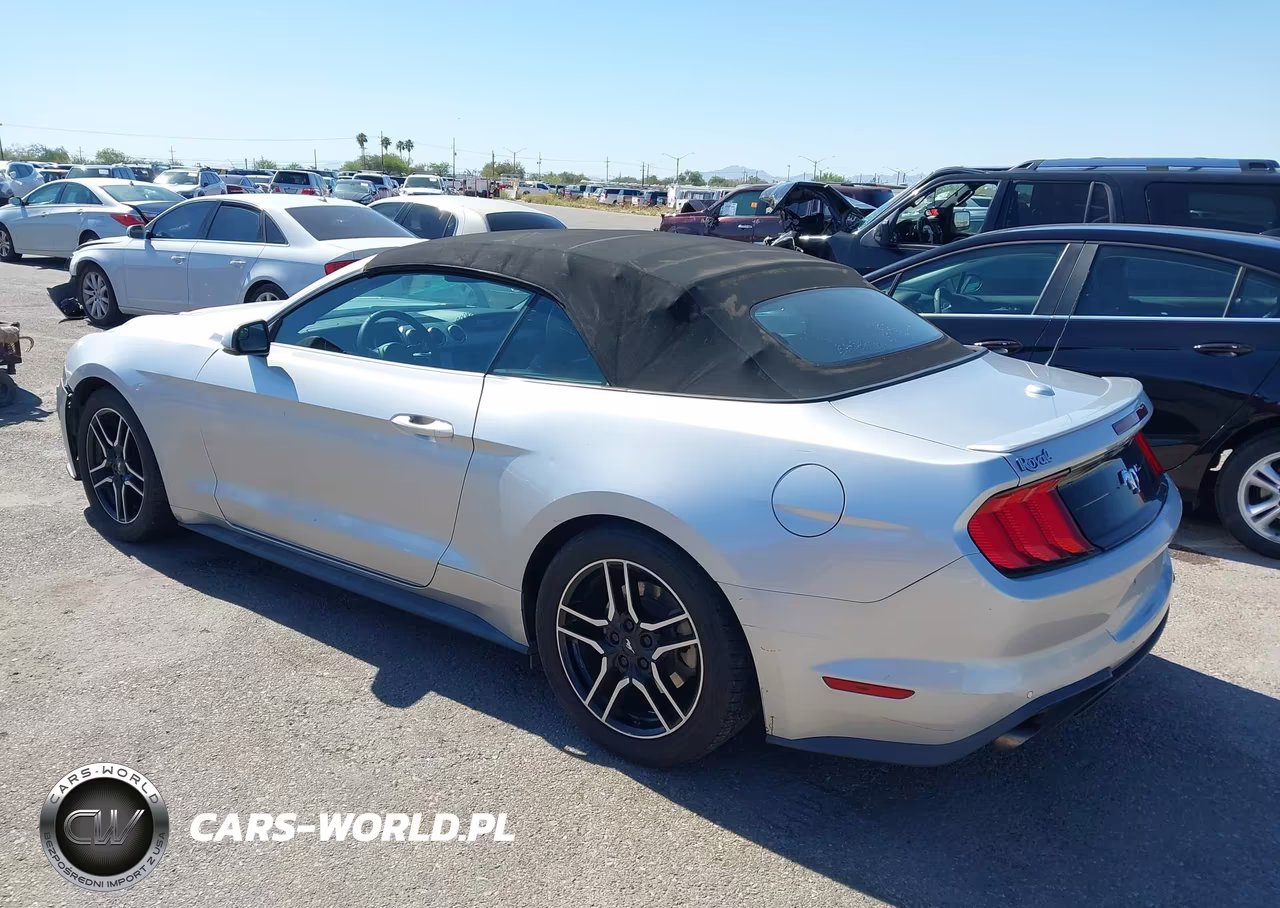 2019 Ford Mustang Ecoboost Premium VIN:1FATP8UH5K5161673 - 3