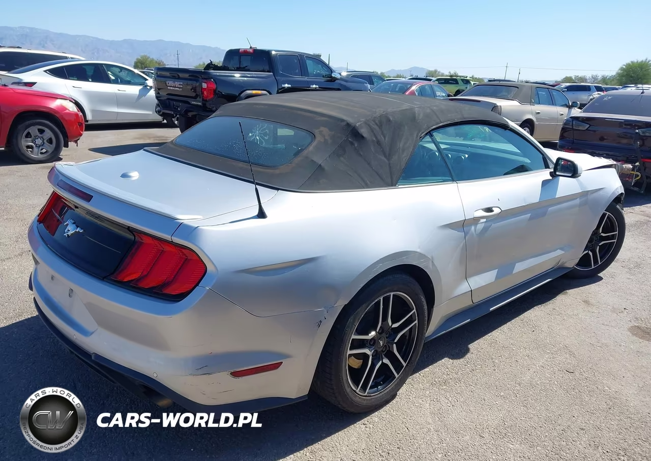 2019 Ford Mustang Ecoboost Premium VIN:1FATP8UH5K5161673 - 4