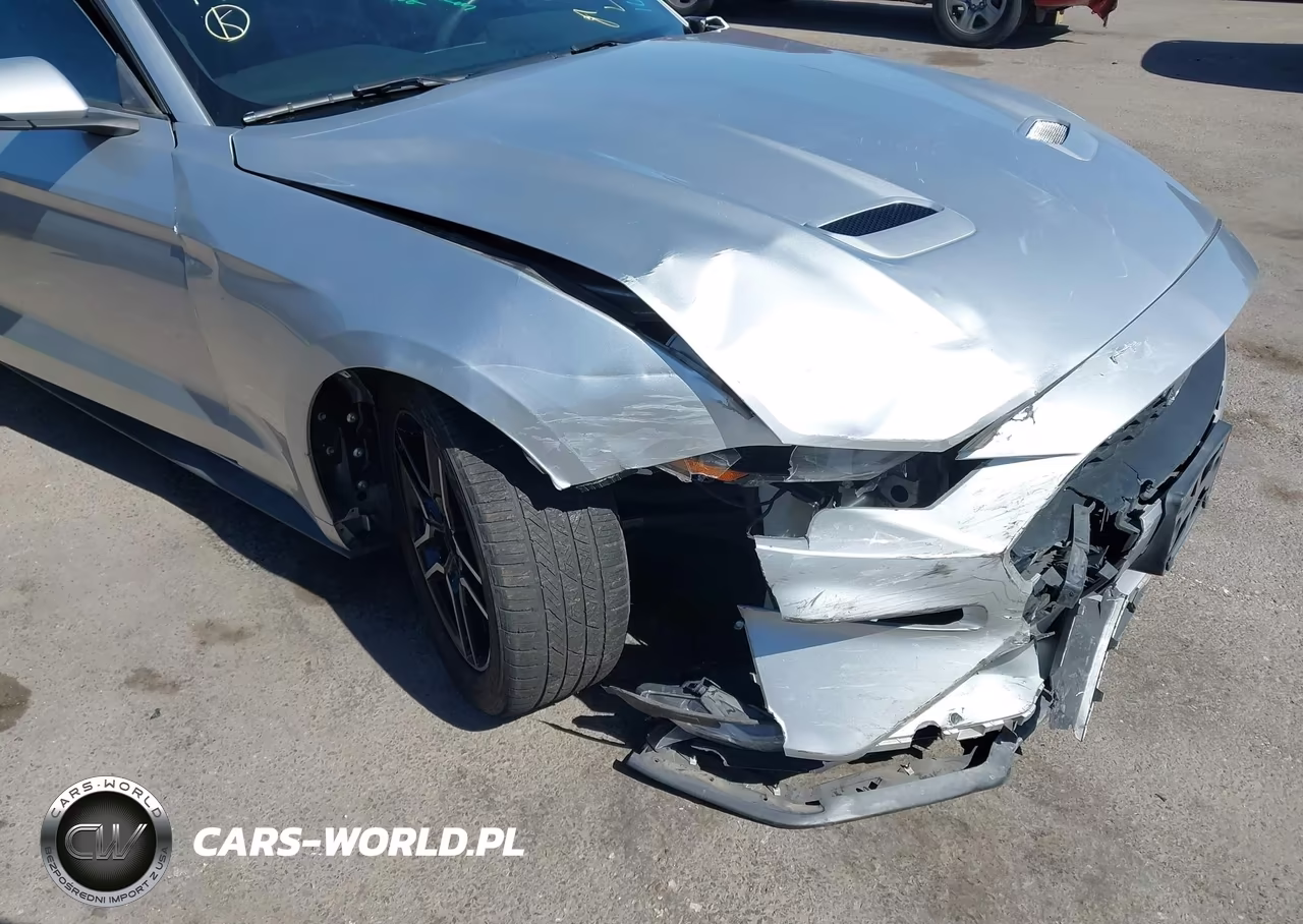 2019 Ford Mustang Ecoboost Premium VIN:1FATP8UH5K5161673 - 6