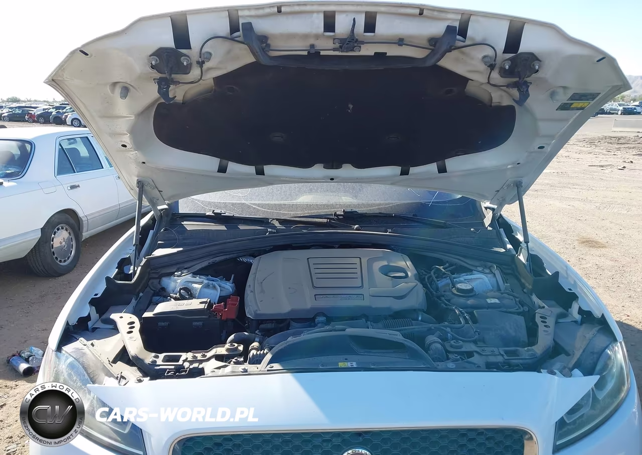 2019 Jaguar F-Pace 25T Premium VIN:SADCJ2FXXKA399611 - 10