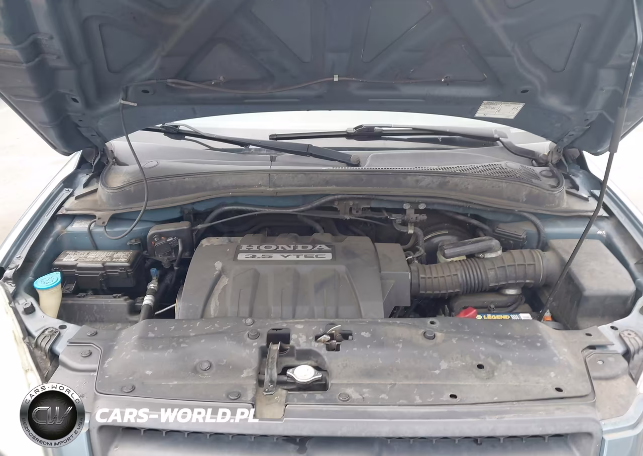 2005 Honda Pilot Ex VIN:2HKYF18485H559496 - 10