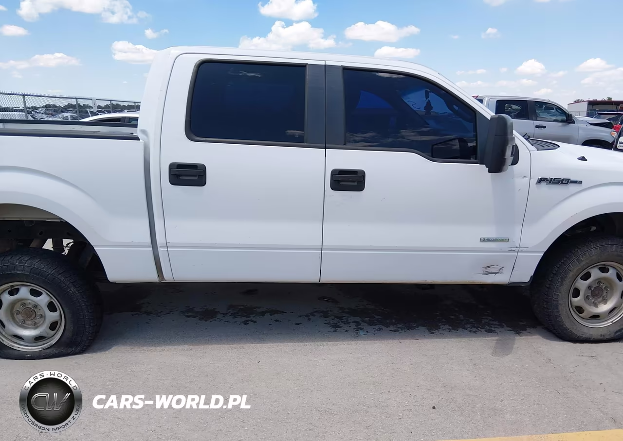 2014 Ford F-150 Xl VIN:1FTFW1ET4EKG11193 - 13