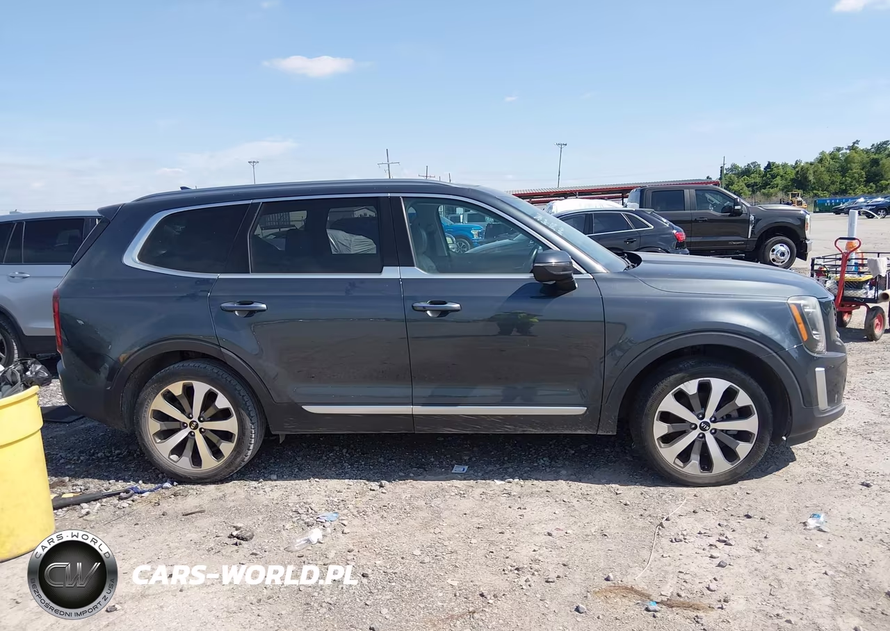 2020 Kia Telluride S VIN:5XYP64HC9LG016649 - 13