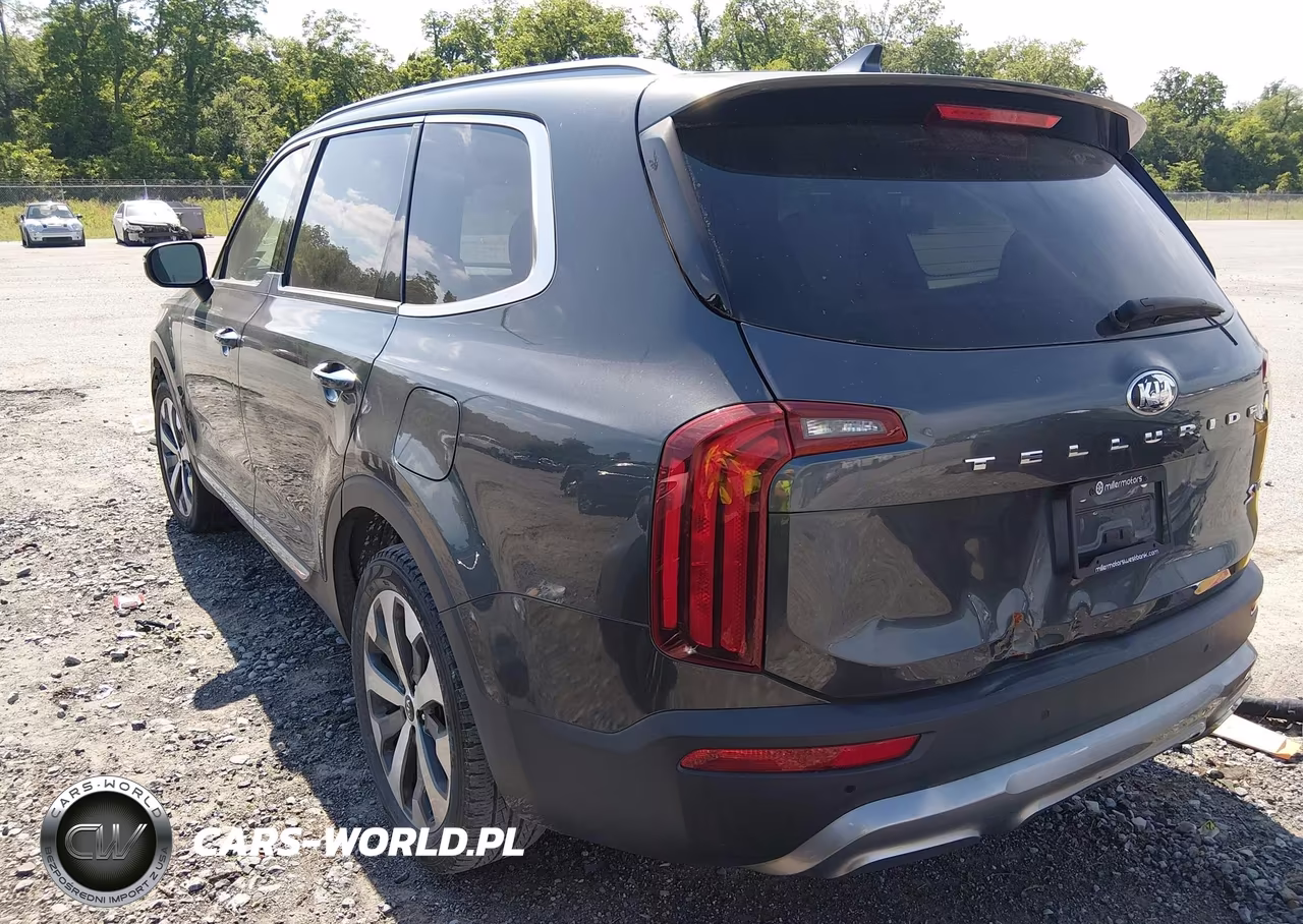 2020 Kia Telluride S VIN:5XYP64HC9LG016649 - 3