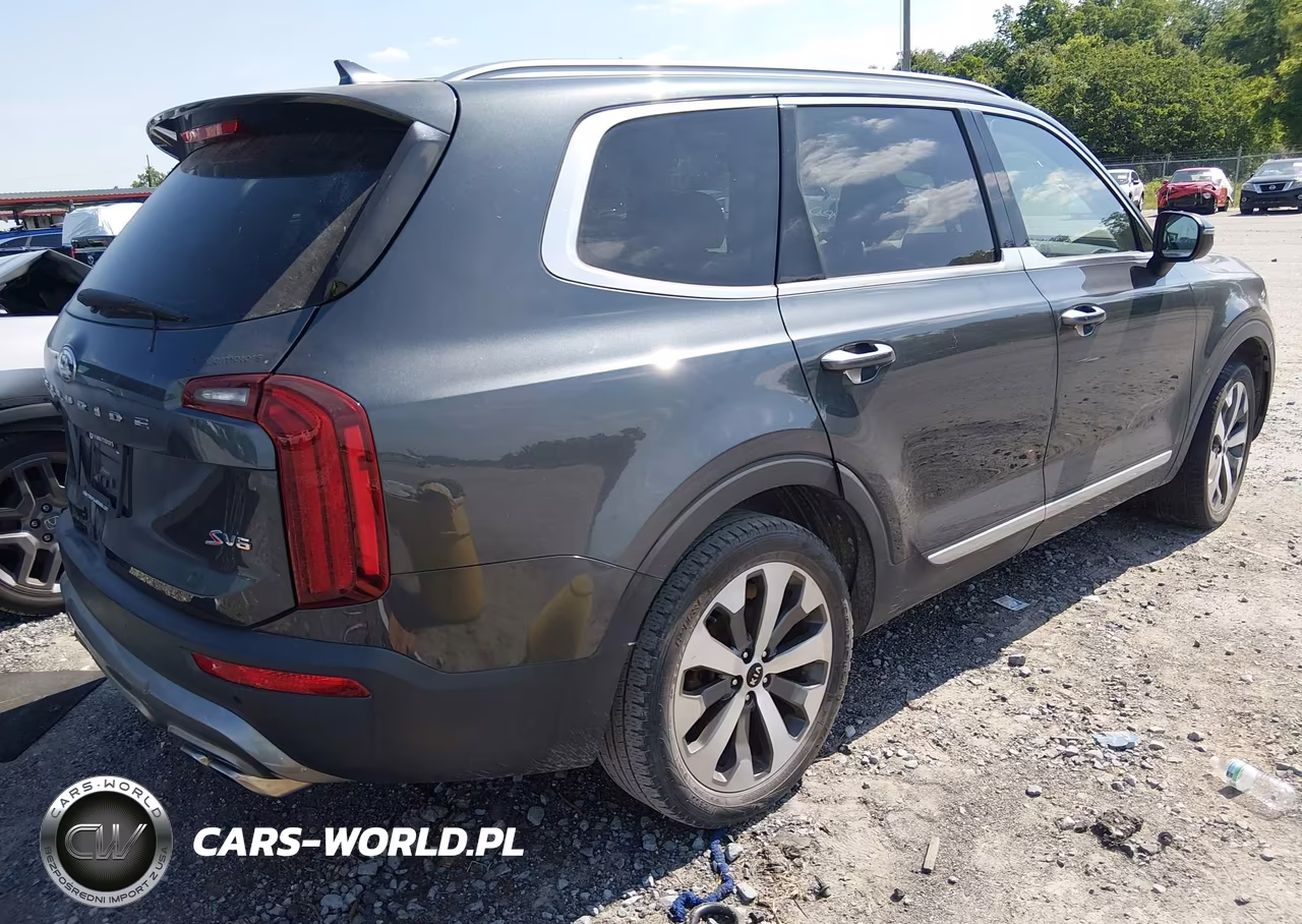 2020 Kia Telluride S VIN:5XYP64HC9LG016649 - 4