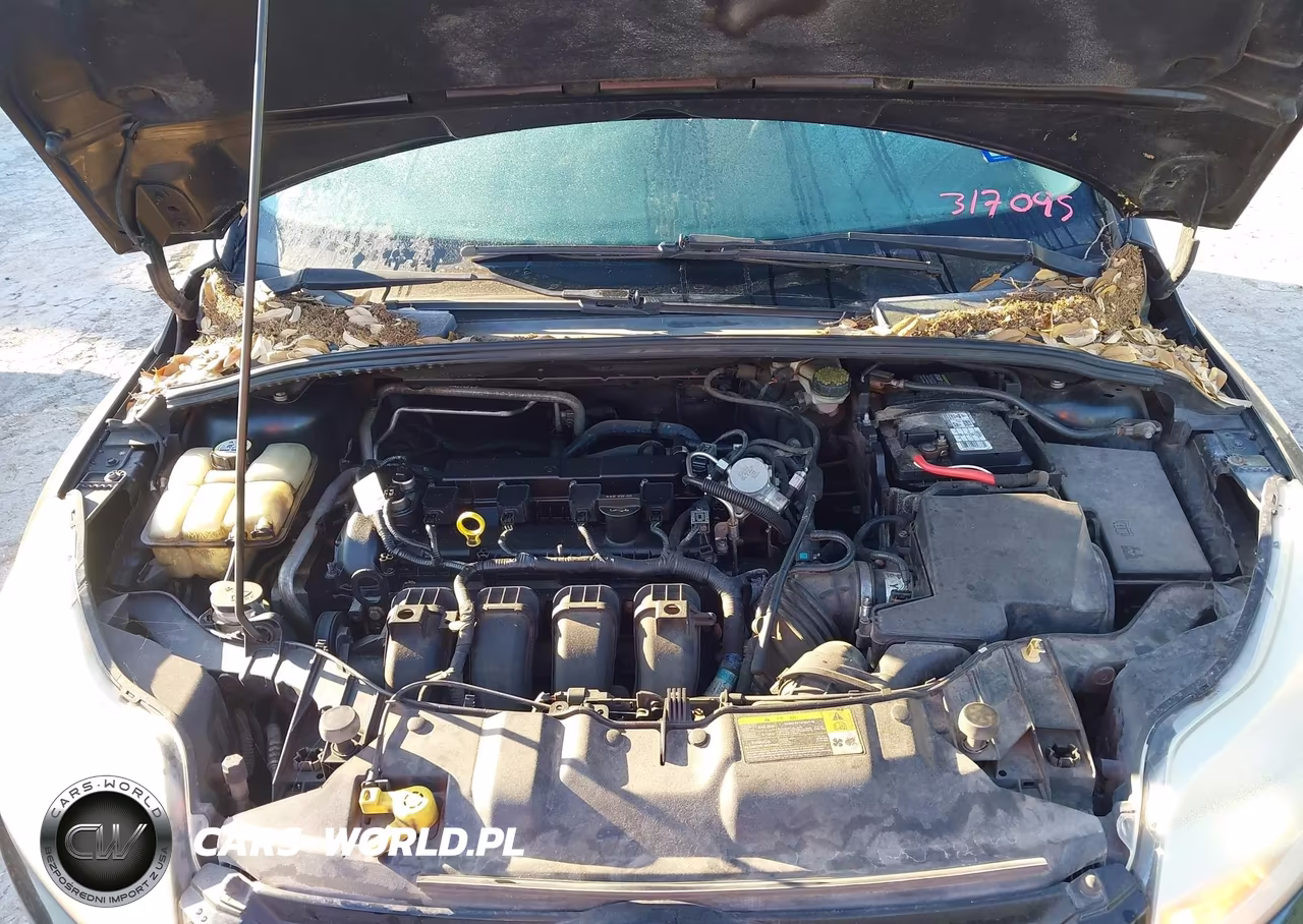 2012 Ford Focus Sel VIN:1FAHP3M23CL317095 - 10