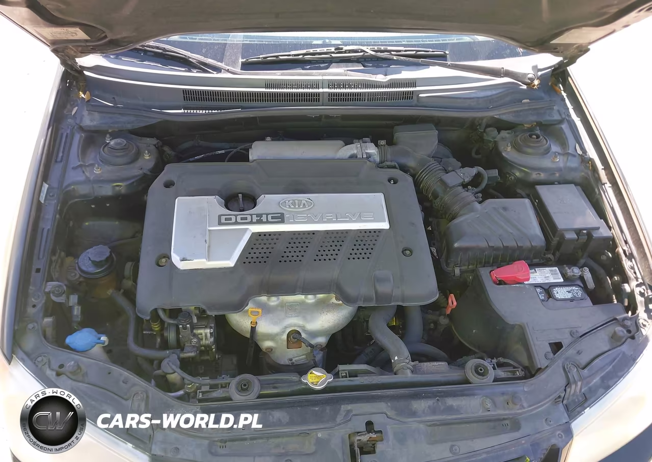 2006 Kia Spectra Ex-Lx-Sx VIN:KNAFE121065291793 - 10