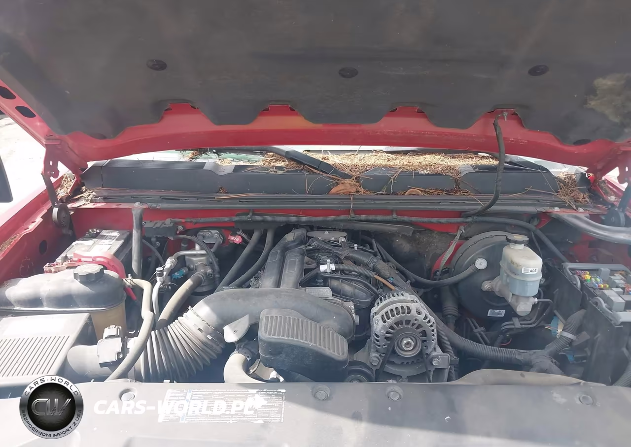 2009 Chevrolet Silverado 1500 Work Truck VIN:2GCEC19C391116598 - 10