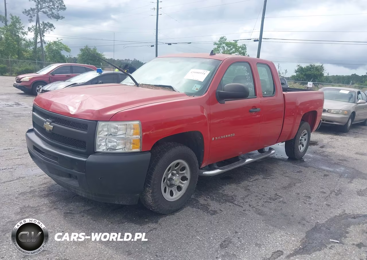 2009 Chevrolet Silverado 1500 Work Truck VIN:2GCEC19C391116598 - 2