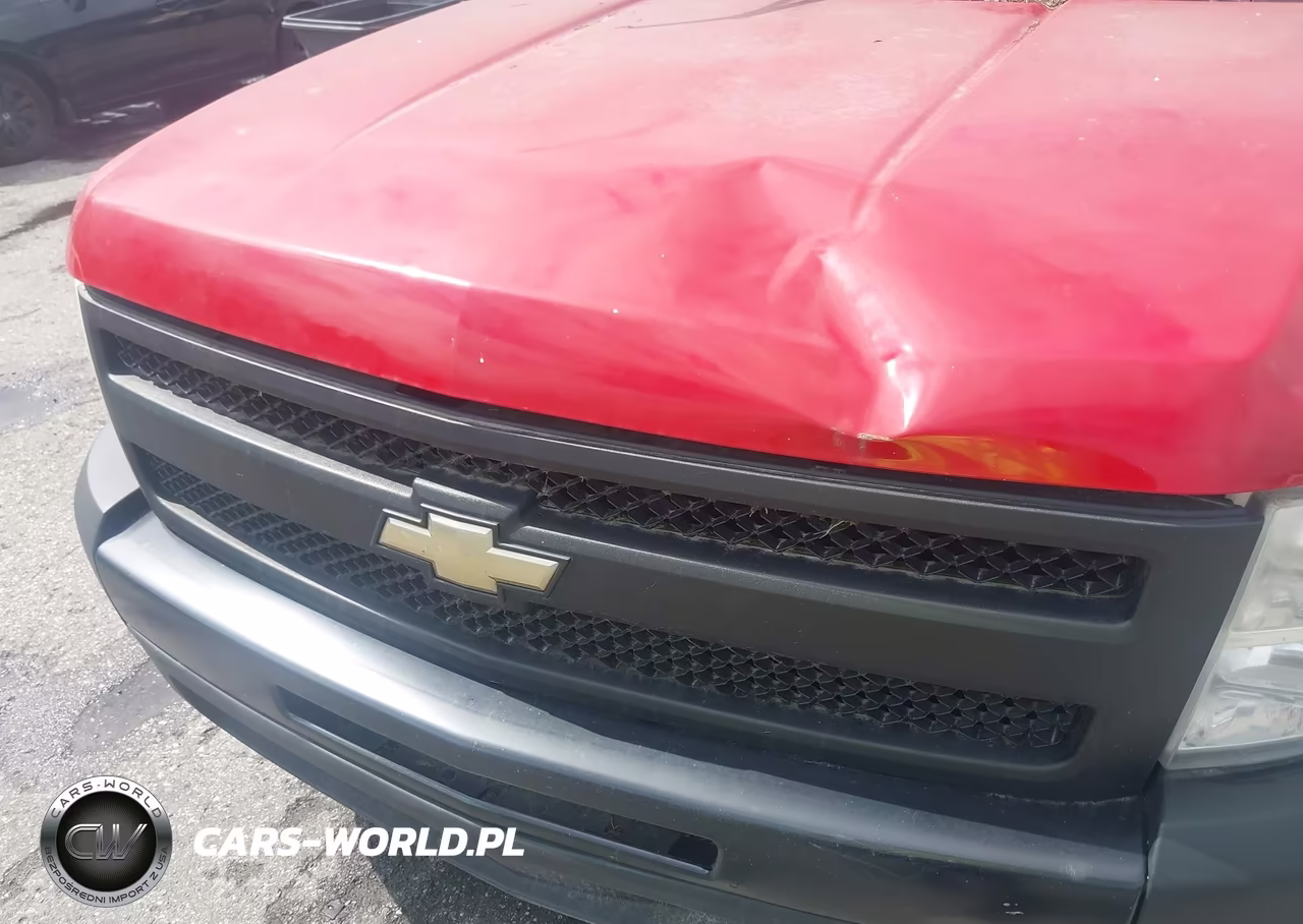 2009 Chevrolet Silverado 1500 Work Truck VIN:2GCEC19C391116598 - 6