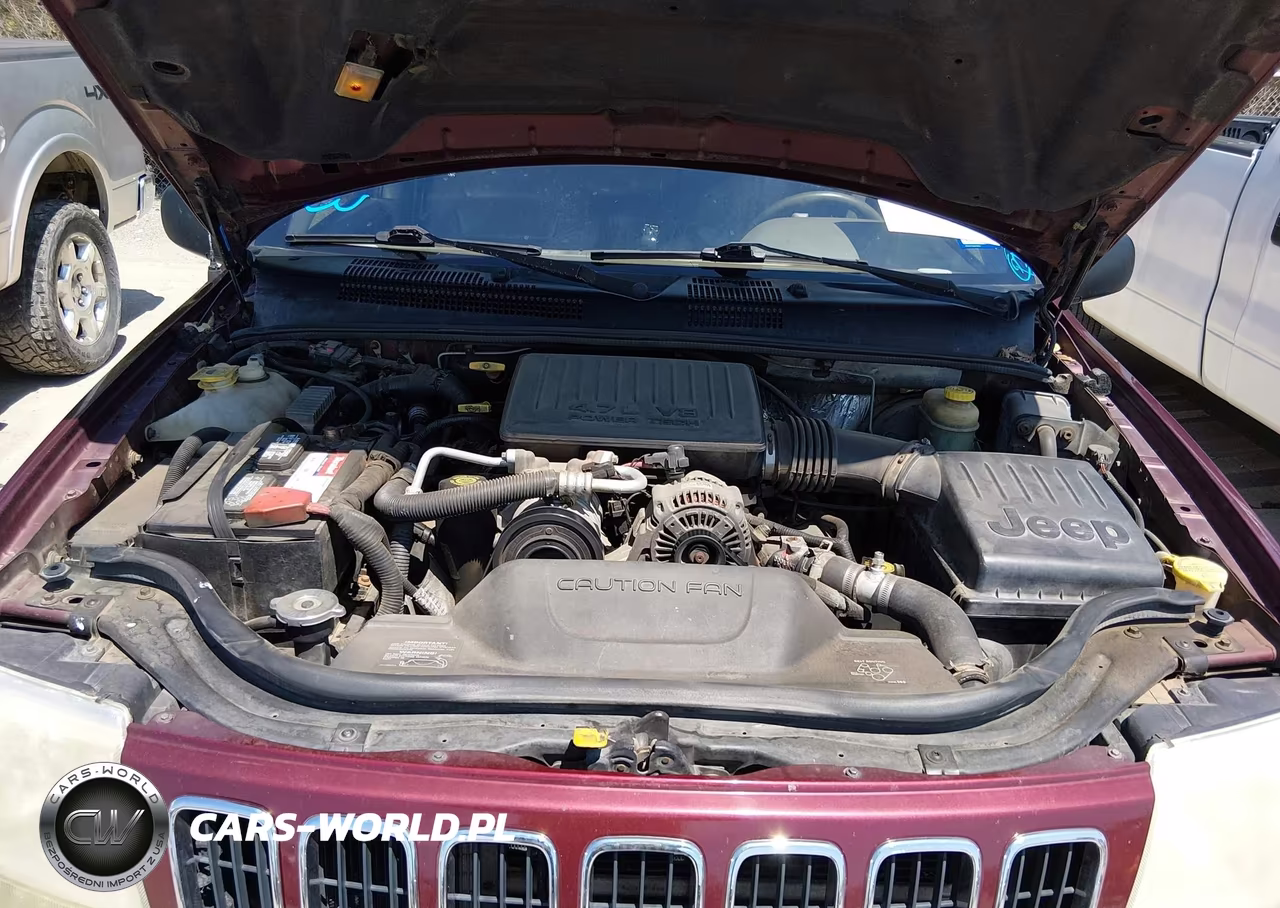 2001 Jeep Grand Cherokee Limited VIN:1J4GW58N81C661599 - 10