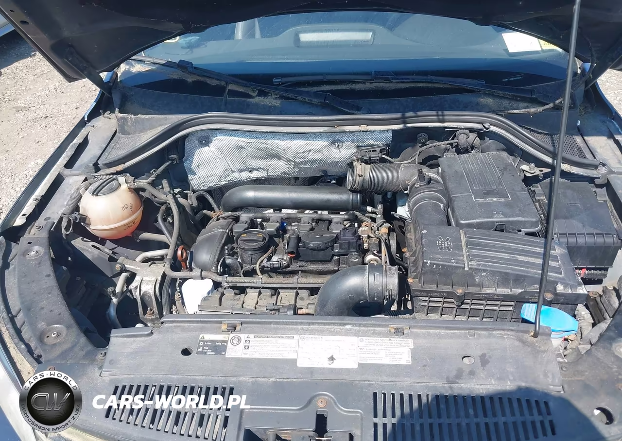2013 Volkswagen Tiguan Se VIN:WVGBV7AX2DW554363 - 10
