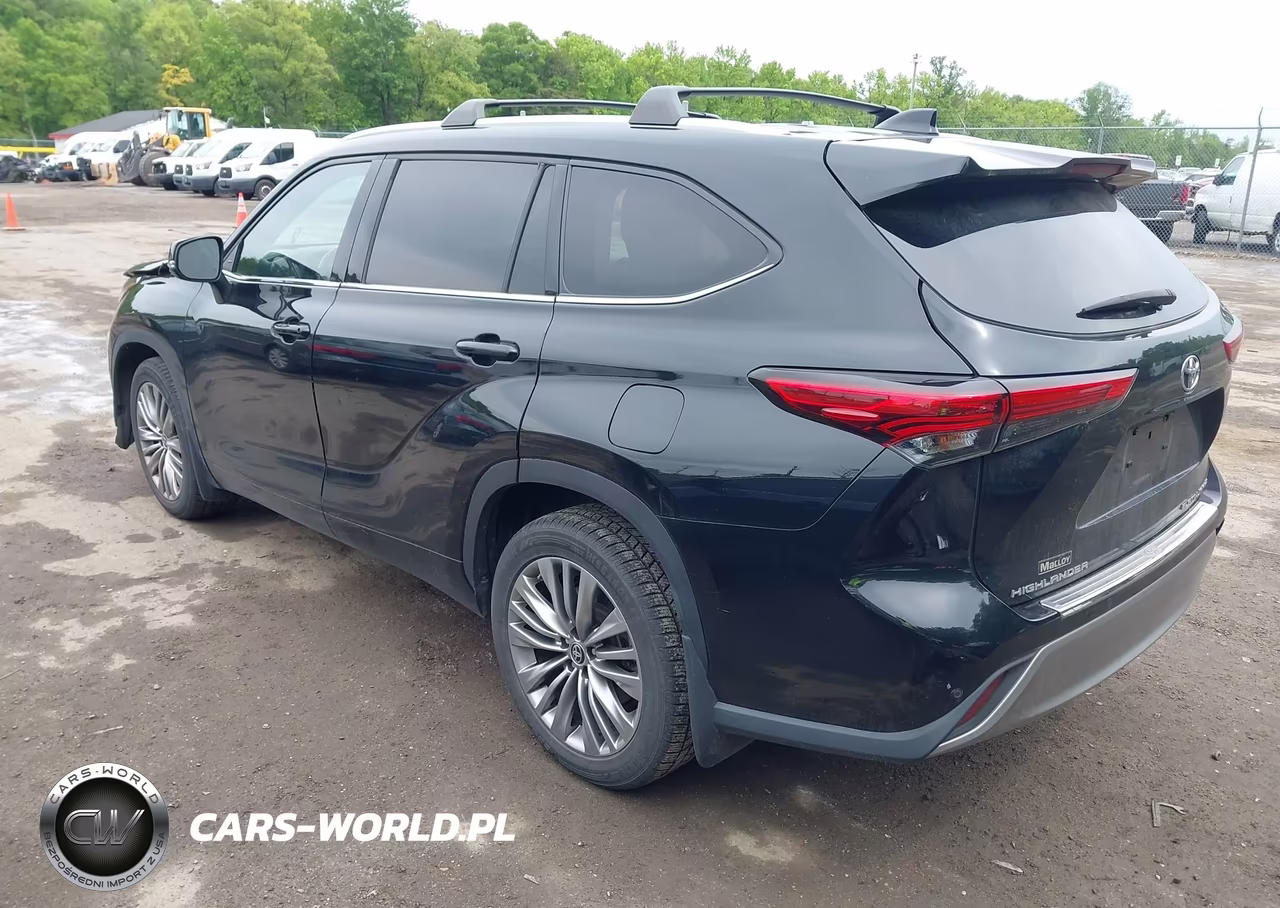 2020 Toyota Highlander Platinum VIN:5TDFZRBH7LS031402 - 3