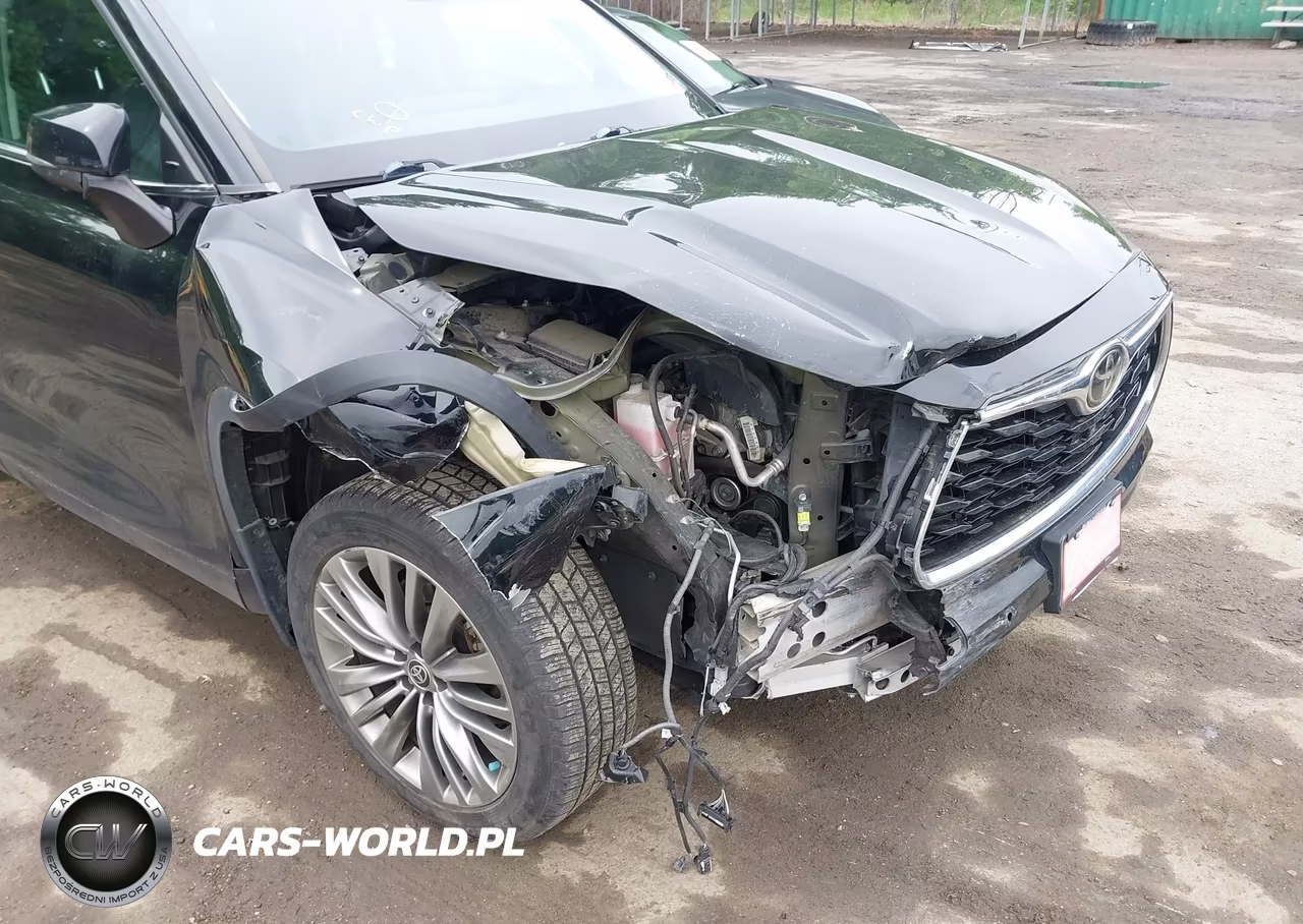 2020 Toyota Highlander Platinum VIN:5TDFZRBH7LS031402 - 6