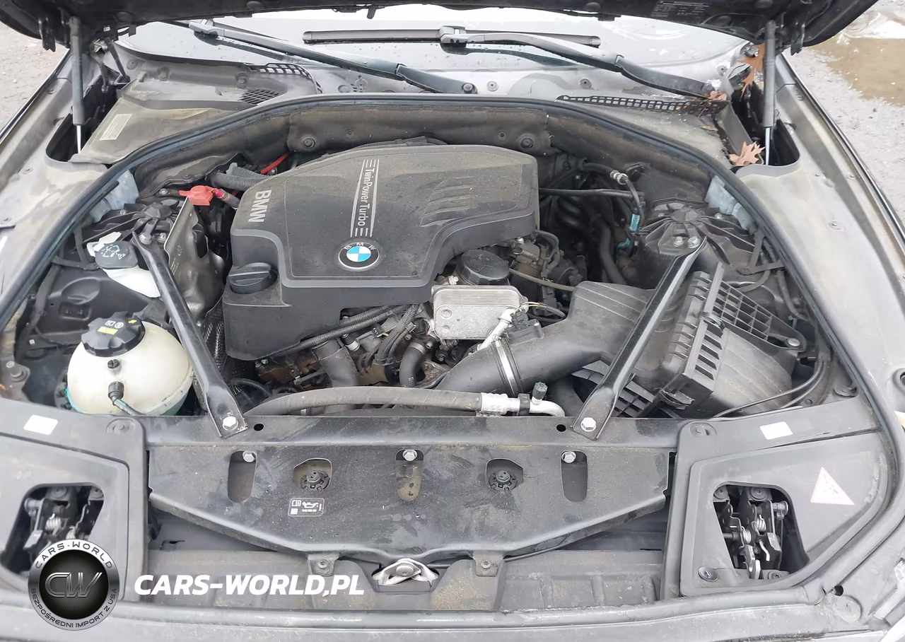 2016 BMW 528I xDrive VIN:WBA5A7C56GG145643 - 10