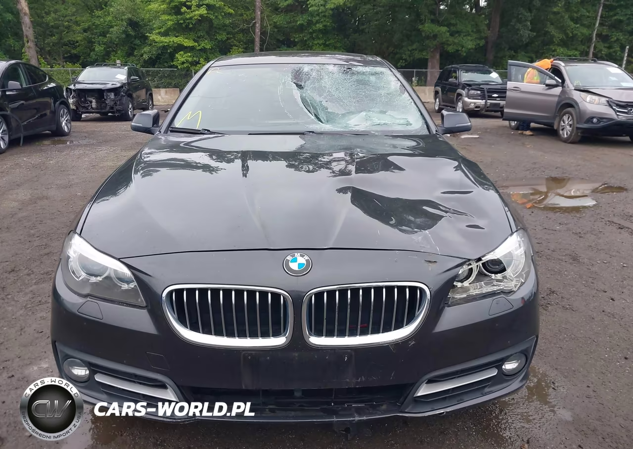 2016 BMW 528I xDrive VIN:WBA5A7C56GG145643 - 11