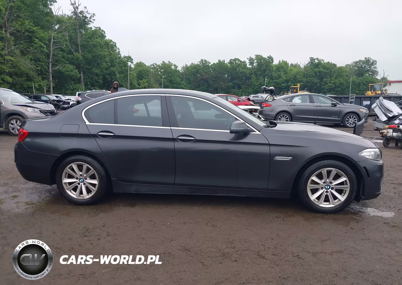 2016 BMW 528I xDrive VIN:WBA5A7C56GG145643 - 12