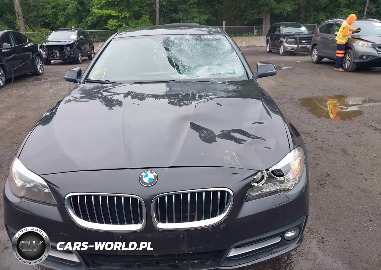 2016 BMW 528I xDrive VIN:WBA5A7C56GG145643 - 6
