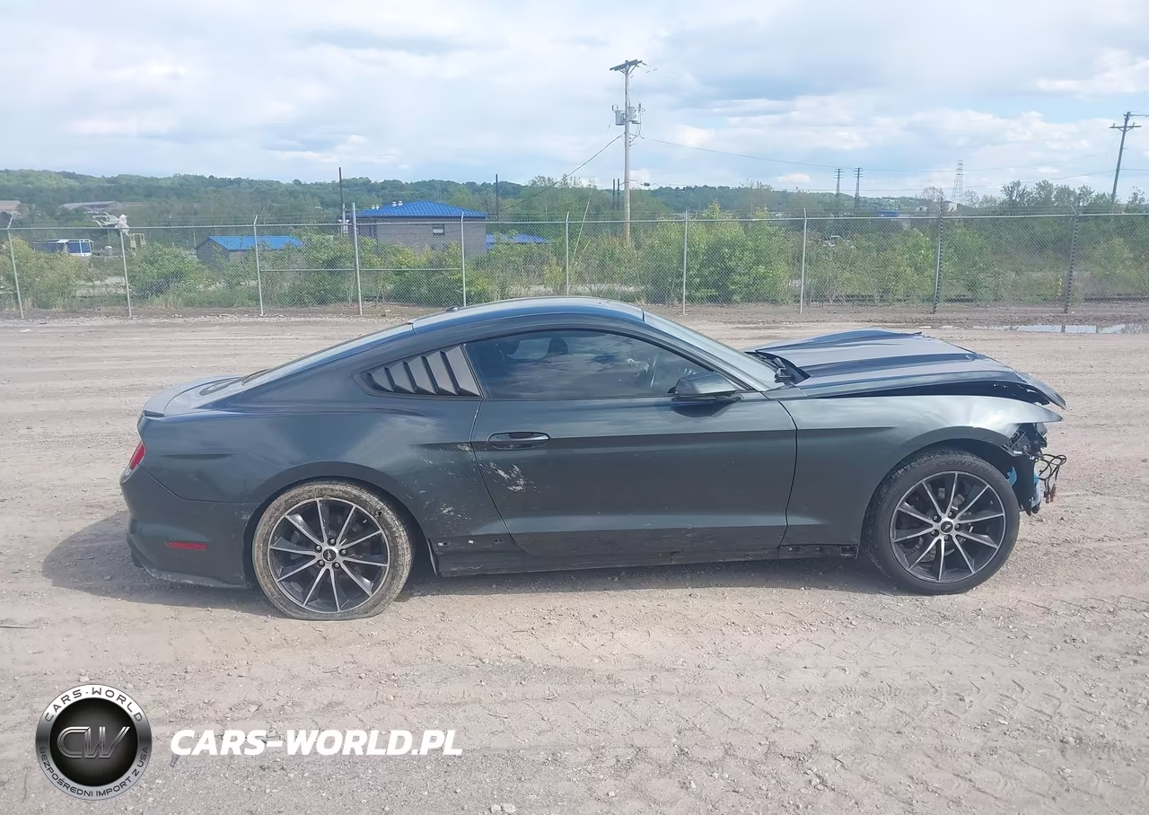 2016 Ford Mustang Ecoboost VIN:1FA6P8TH0G5209599 - 13