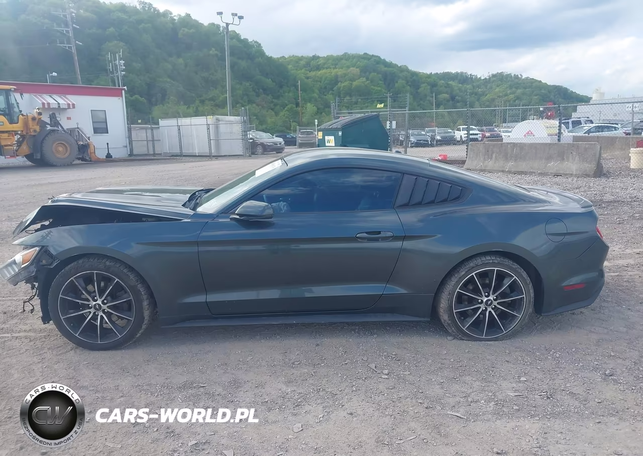2016 Ford Mustang Ecoboost VIN:1FA6P8TH0G5209599 - 14