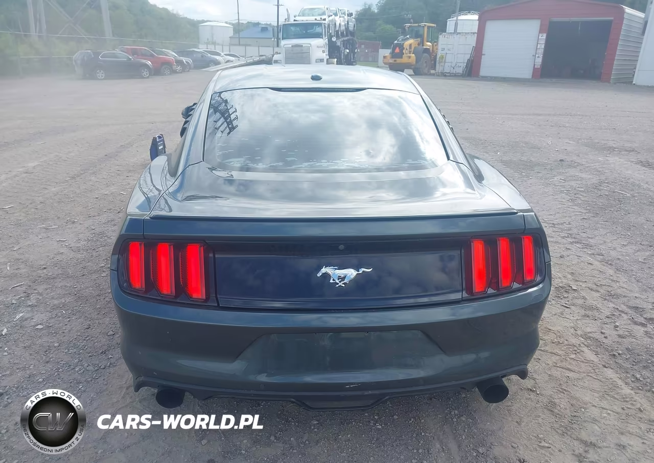 2016 Ford Mustang Ecoboost VIN:1FA6P8TH0G5209599 - 16