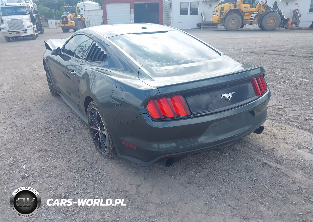 2016 Ford Mustang Ecoboost VIN:1FA6P8TH0G5209599 - 3