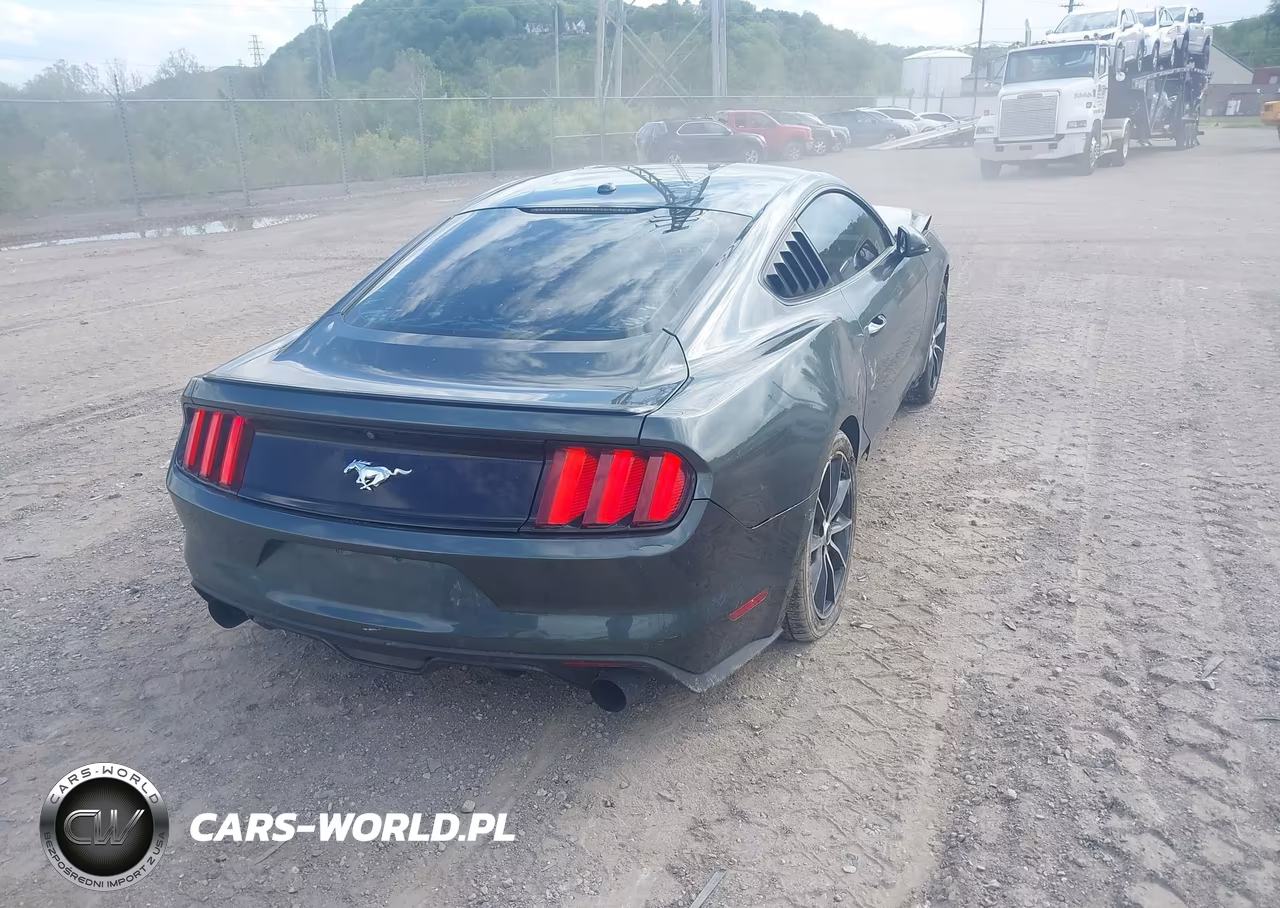 2016 Ford Mustang Ecoboost VIN:1FA6P8TH0G5209599 - 4