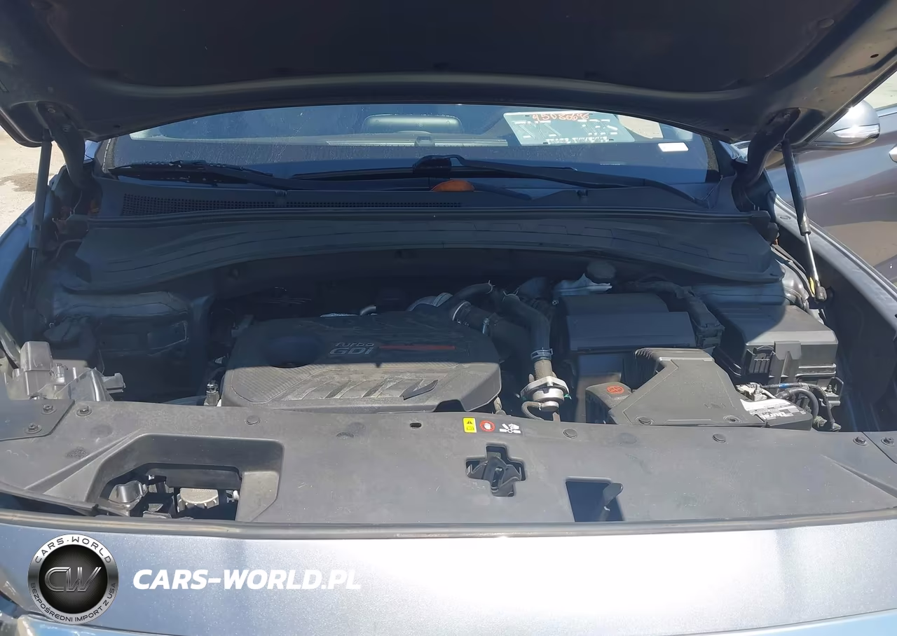 2019 Hyundai Santa Fe Limited 2.0T VIN:5NMS5CAA2KH094114 - 10