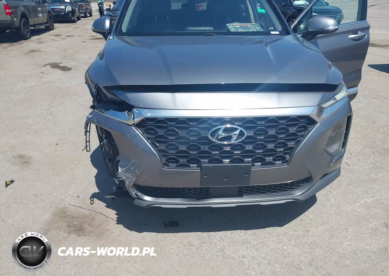 2019 Hyundai Santa Fe Limited 2.0T VIN:5NMS5CAA2KH094114 - 6