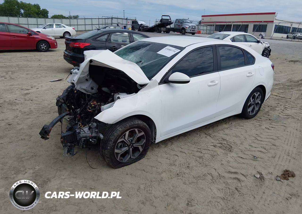 2019 Kia Forte Lxs VIN:3KPF24AD1KE113611 - 2