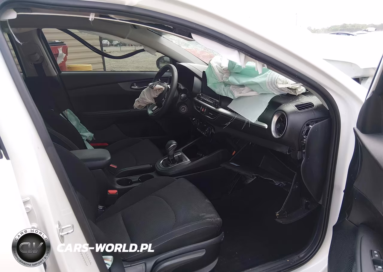2019 Kia Forte Lxs VIN:3KPF24AD1KE113611 - 5