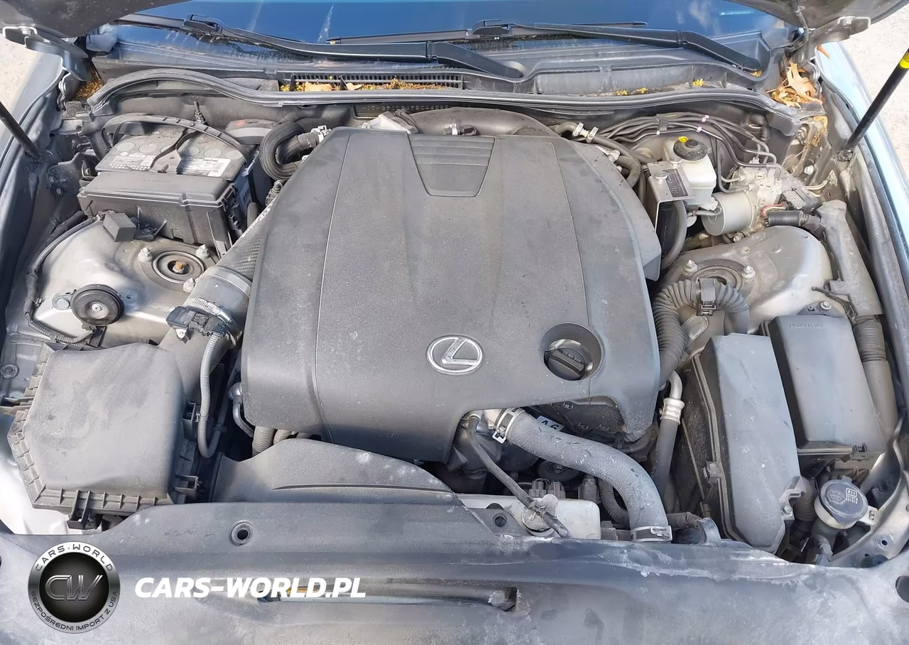 2015 Lexus Is 250 VIN:JTHBF1D24F5046255 - 10