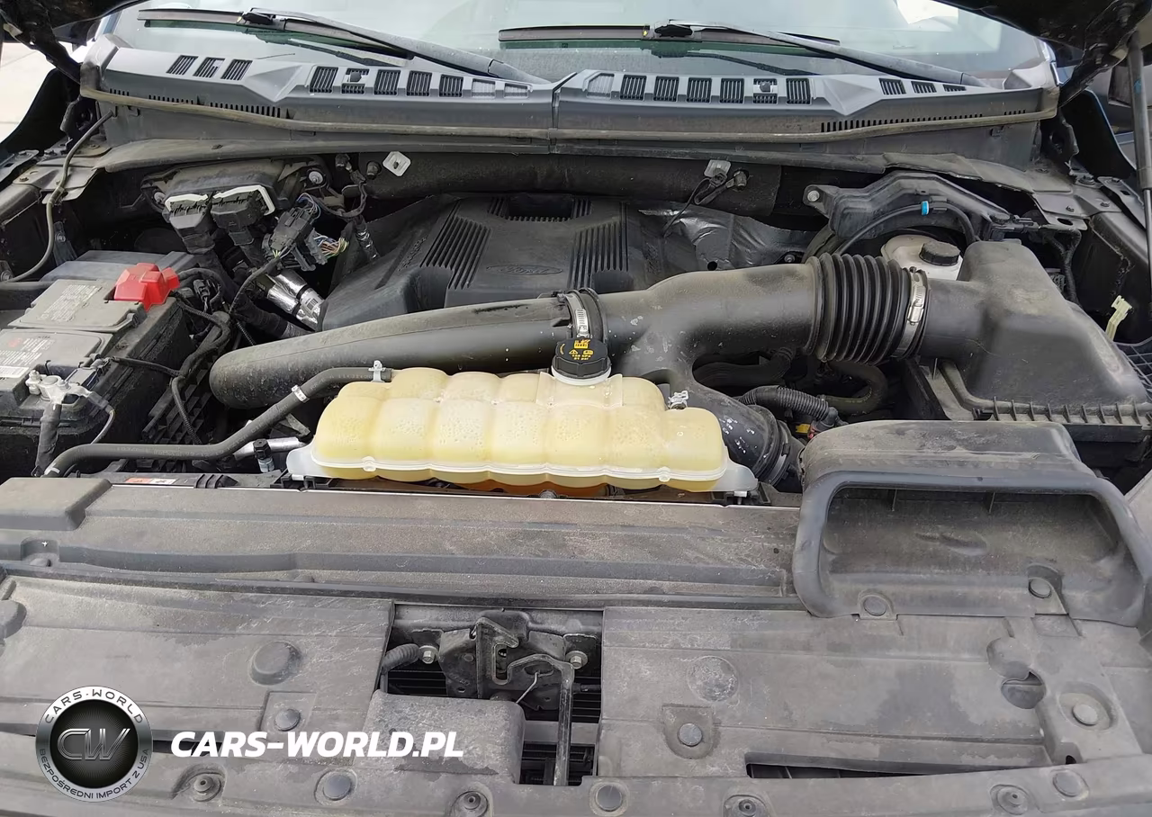 2019 Ford F-150 Xlt VIN:1FTEW1E44KKF13992 - 10