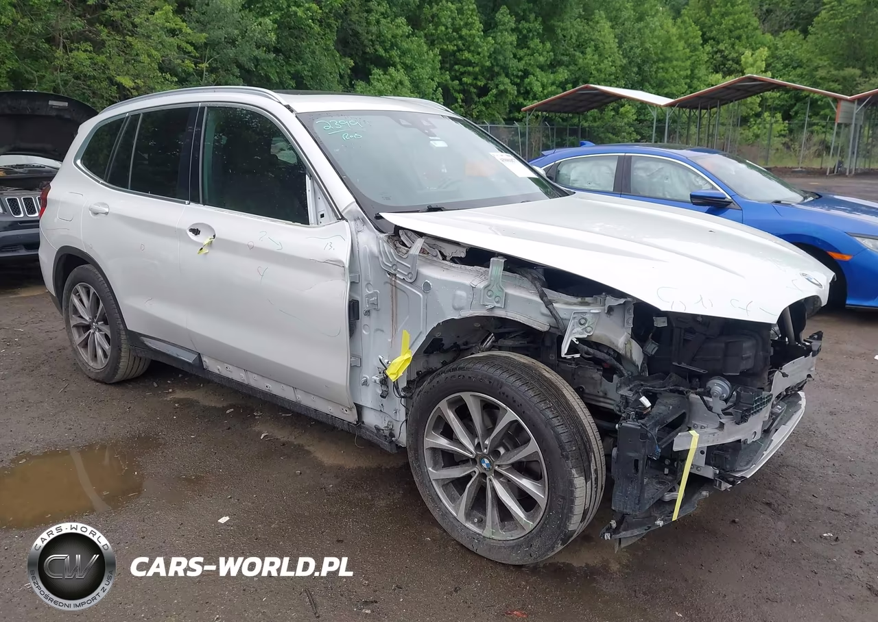 2019 BMW X3 xDrive30I – zdjęcie 1 z 17