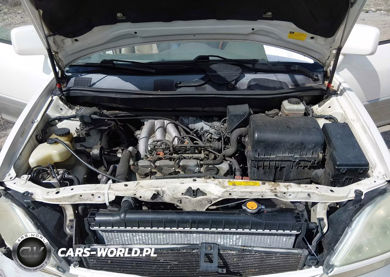 2002 Lexus Rx 300 VIN:JTJGF10U520126666 - 10