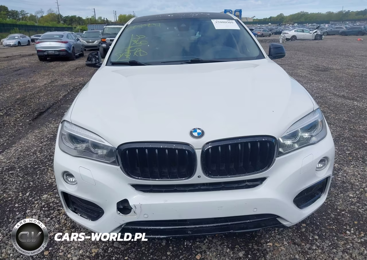 2015 BMW X6 xDrive35I VIN:5UXKU2C51F0F95659 - 12