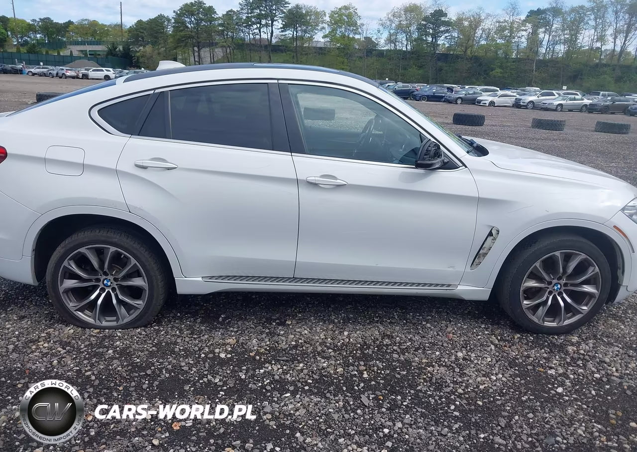 2015 BMW X6 xDrive35I VIN:5UXKU2C51F0F95659 - 13