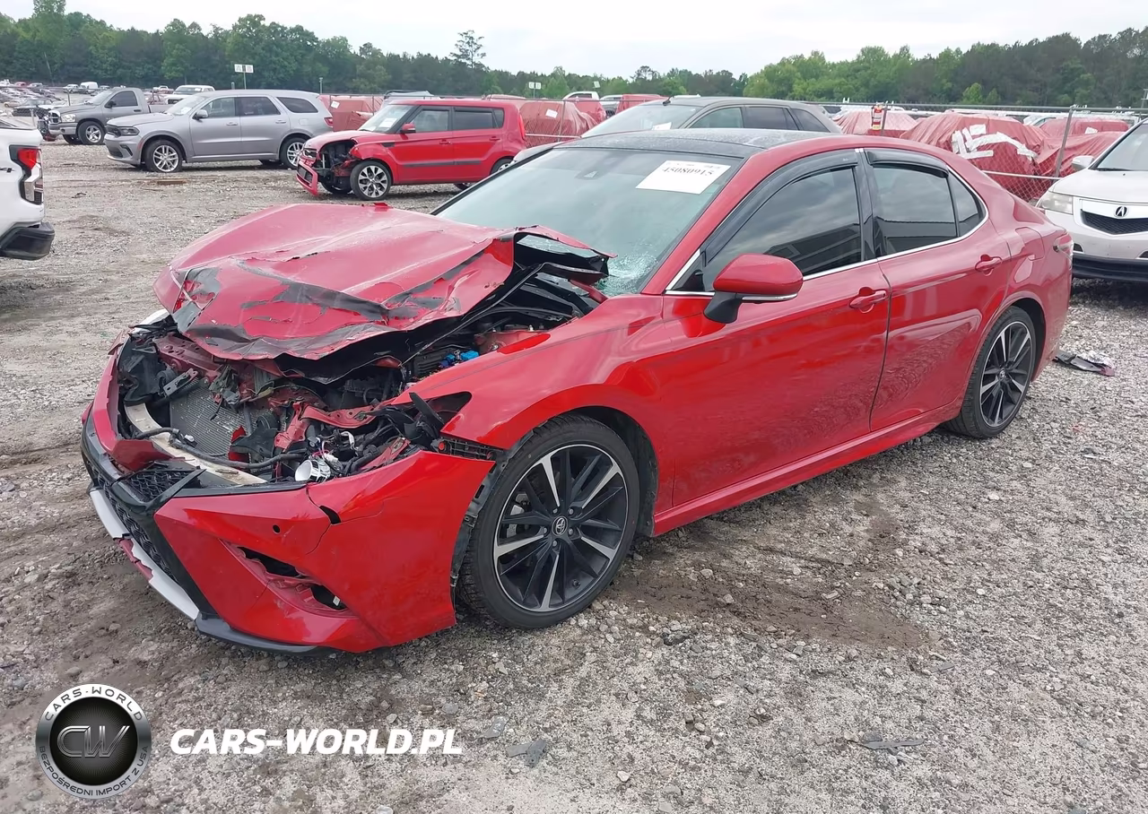 2019 Toyota Camry Xse V6 VIN:4T1BZ1HK7KU024460 - 2