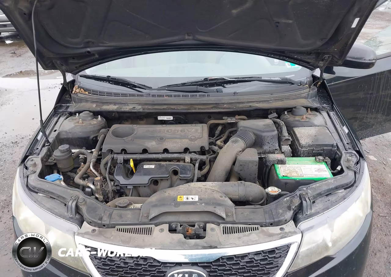 2013 Kia Forte Ex VIN:KNAFU4A20D5739851 - 10